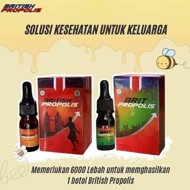 British propolis dan British propolis kids