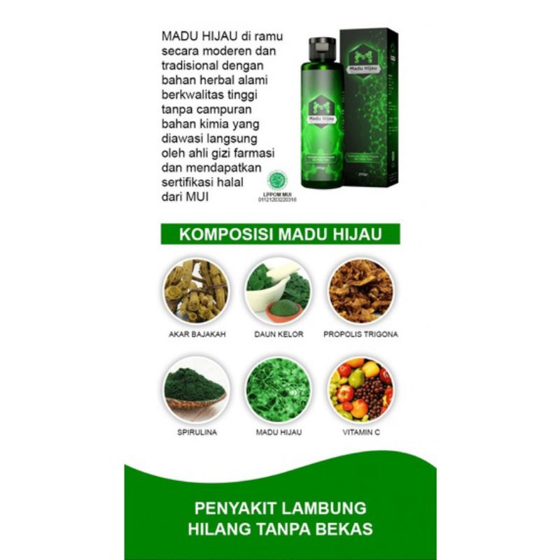 

Madu Hijau 210gr - Herbal Asam Lambung - Mengatasi Lambung Kronis