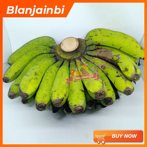 

Pisang Ambon Lumut Bandung Area