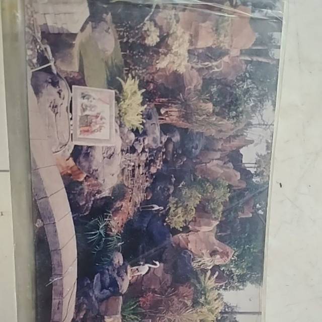 Jasa Pembuatan Taman , kolam ikan , kolam bali , Tebing ,  dll