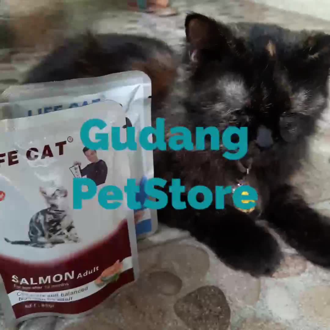 LIFE CAT POUCH Baim Wong 85gr Wet Food makanan kucing (setara whiskas