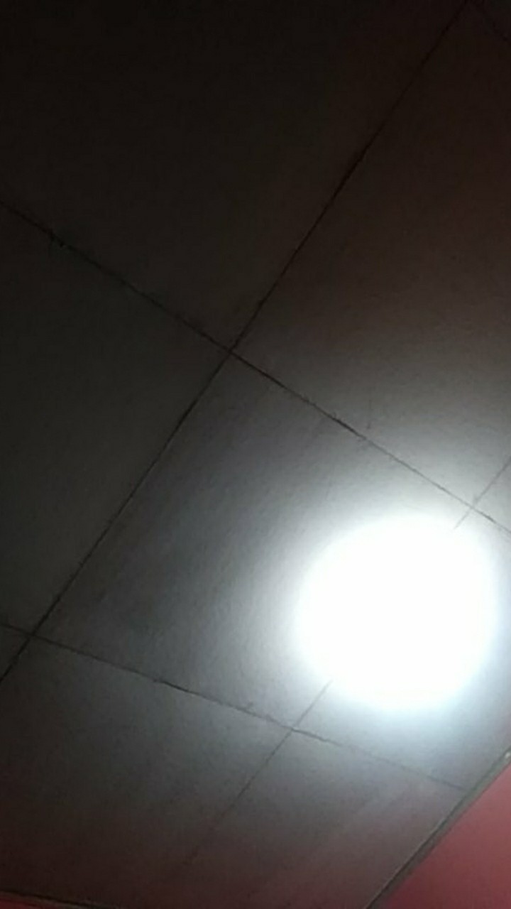 Fungisida Bayer Nativo 75wg 12,5gr