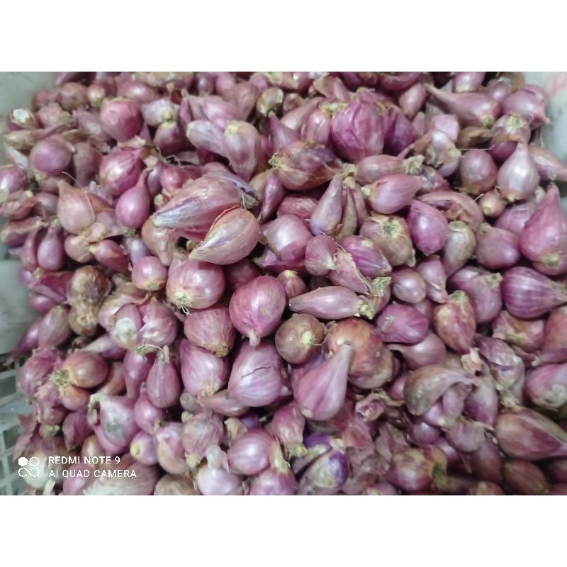 

Bawang merah segar Jatim
