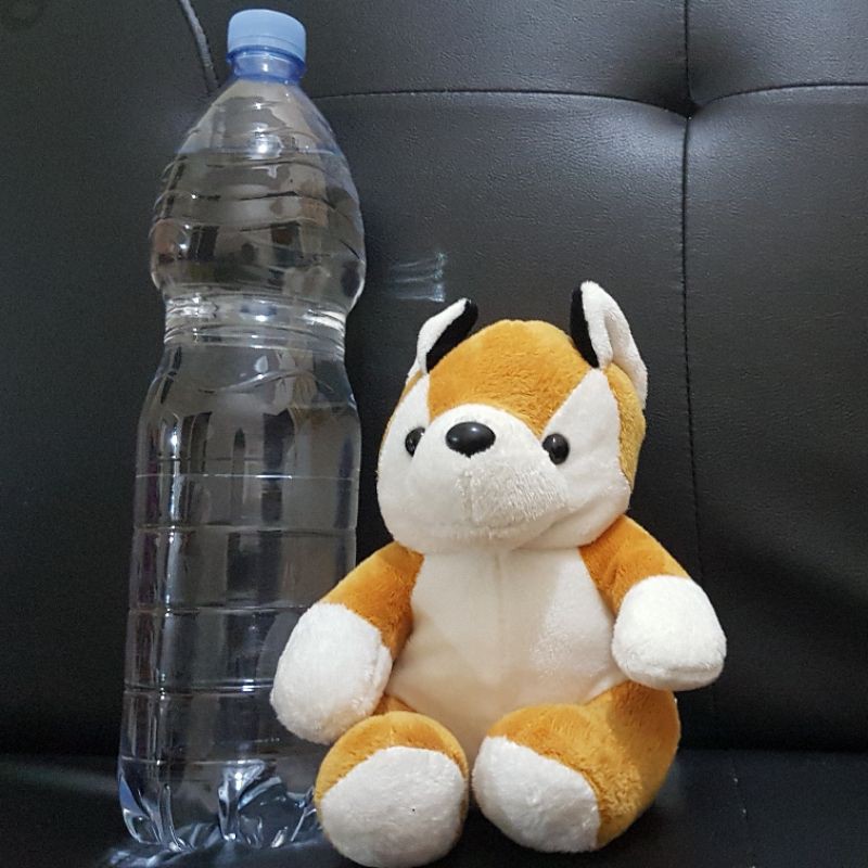 BONEKA ANJING HUSKY