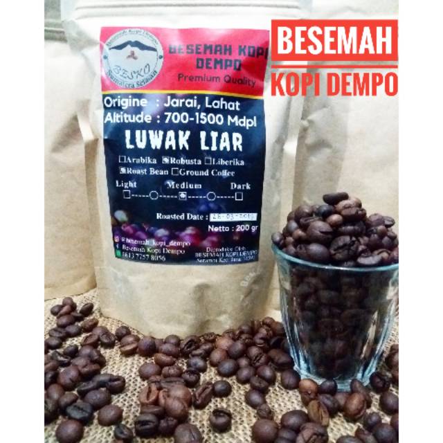 Kopi Luwak Liar Jarai Pagar Alam Lahat Shopee Indonesia