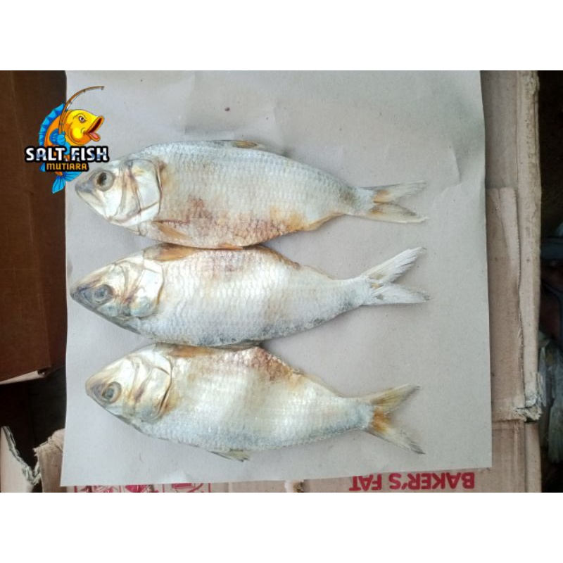 

Ikan Asin BELO SUPER fresh ; 250 Gram
