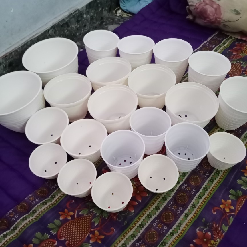 Pot Tawon 10 Cm Putih