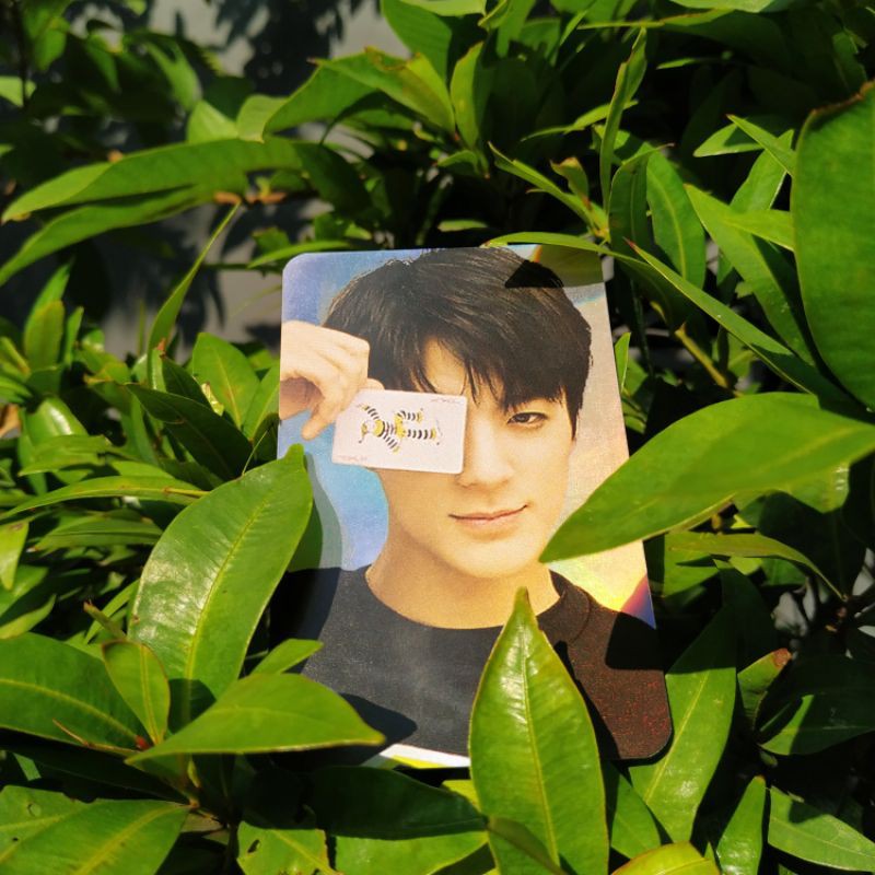 HOLO JENO EMPATHY 2018