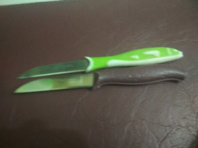 Pisau Dapur Kecil/stainless Steel Cutlery Random Warna (1pcs)