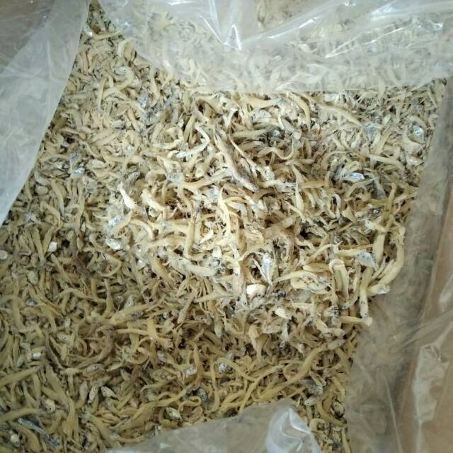 

Teri Nasi Tamben Asin