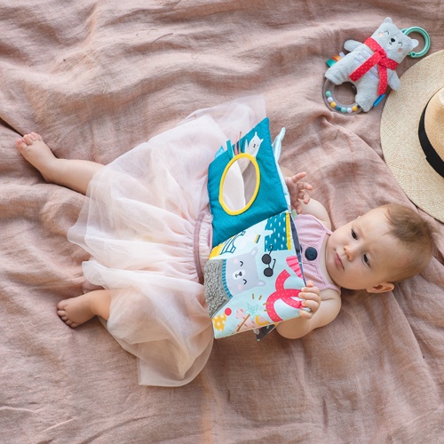 Taf Toys Book