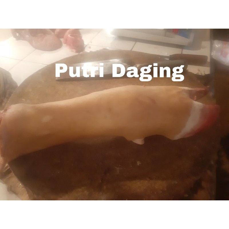 

Kaki Sapi (Tunjang) Perbatang