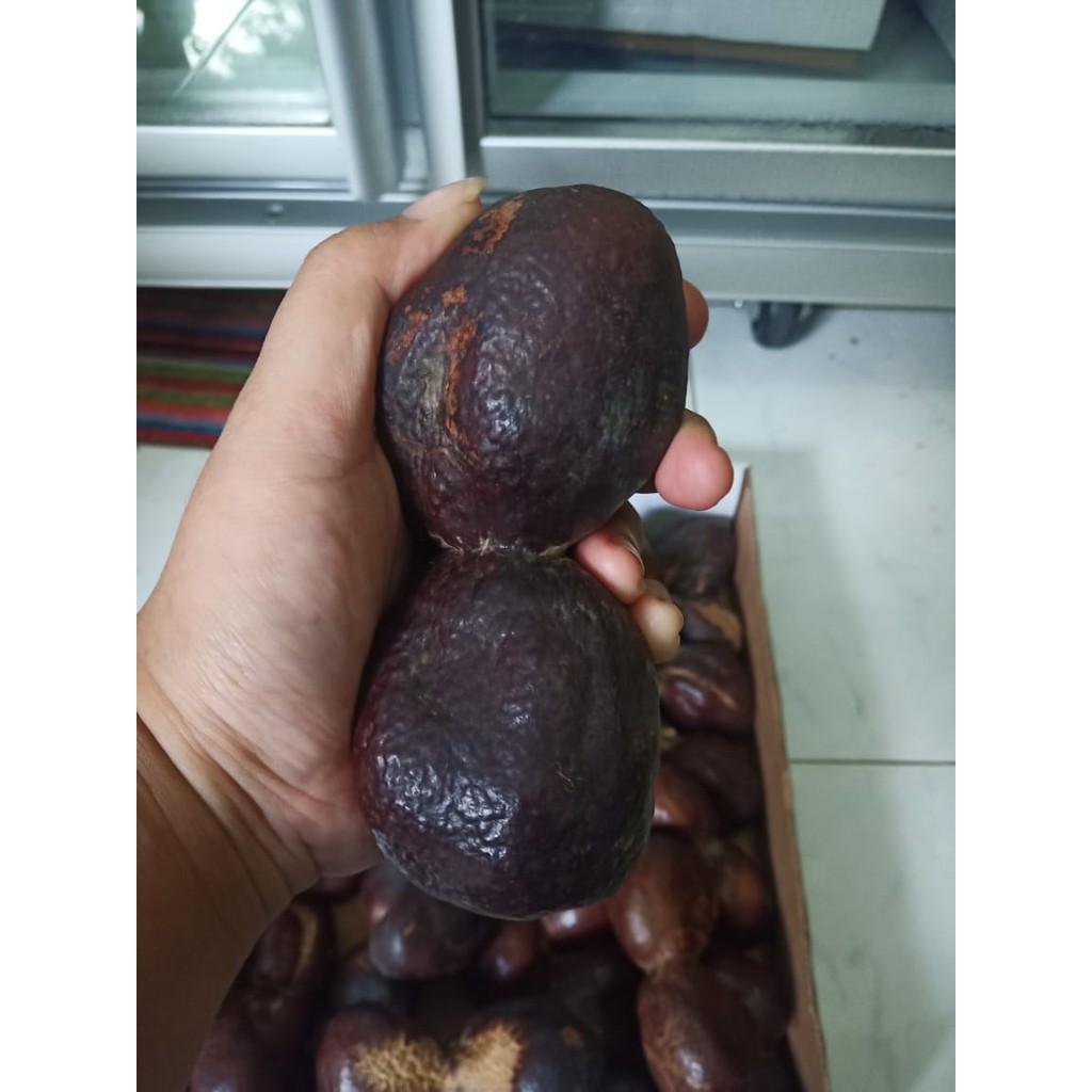 

Buah Zuriat Kembar Madinah - 100 gr