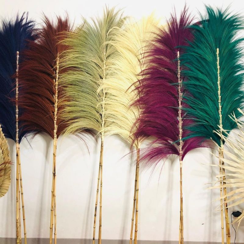 DAUN PALEM KERING / RAYUNG STICK / RAYUNG PAMPAS / RAYUNG DEKORASI RUMAH / BUNGA KERING