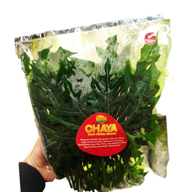 

Daun pepaya jepang segar | daun sayur pepaya fresh | pack