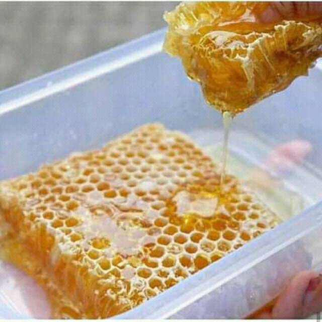 

Madu Sarang