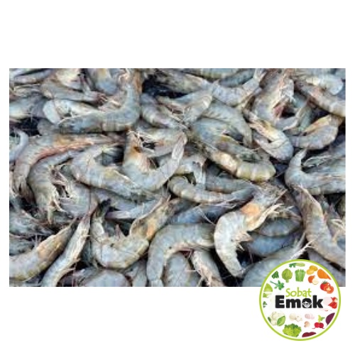 

Udang