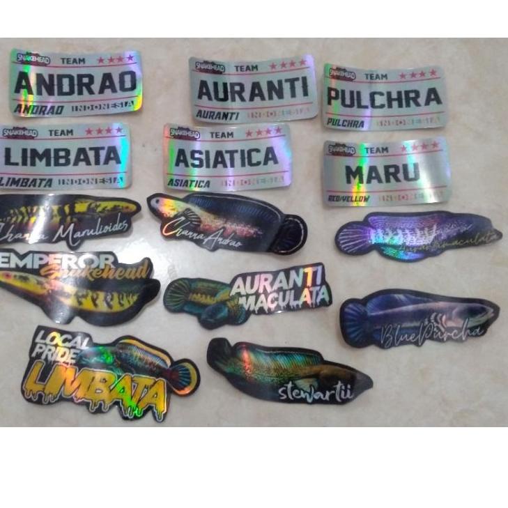 

Kirim Langsung YAY0K sticker channa hologram 1paket isi 5 45 Terbatas