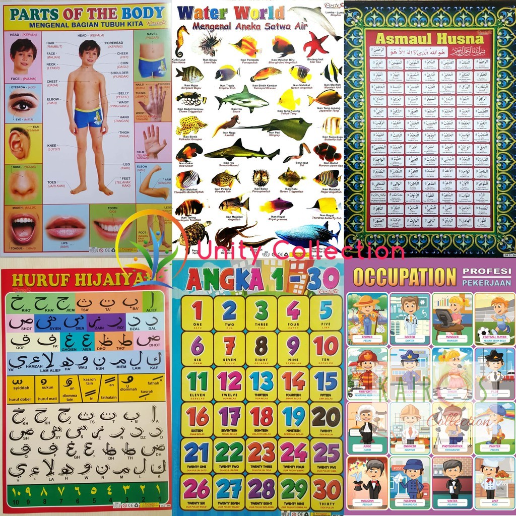 Paket 20 Poster Anak  Belajar Edukasi Bonus 1 Poster  