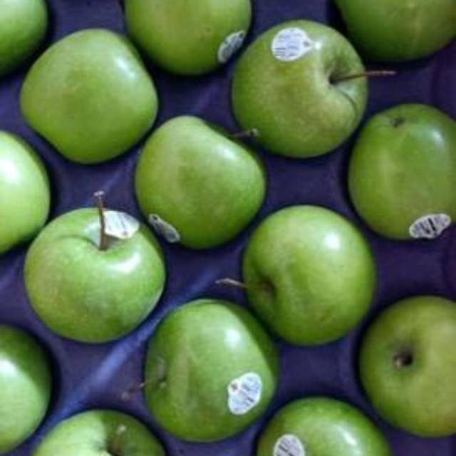 

APEL HIAJU GARNNY SMITH 1KG