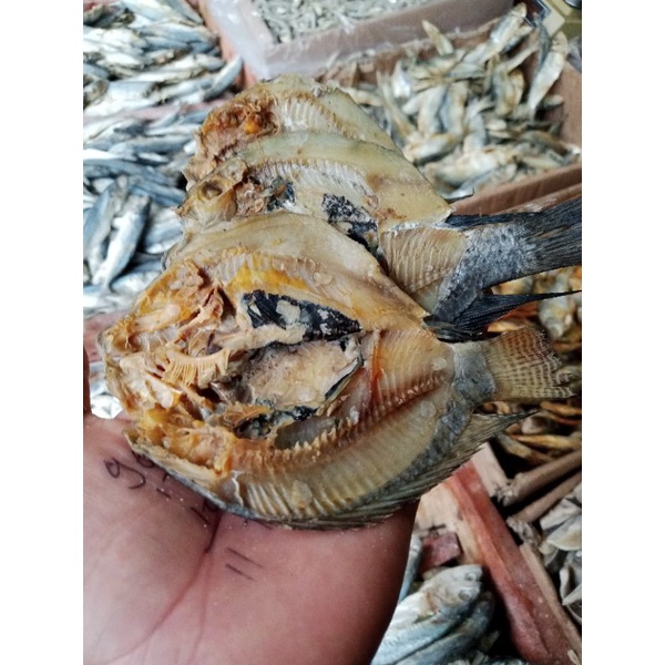 

Ikan Asin Jaer Belahan Tawar Murah 500g