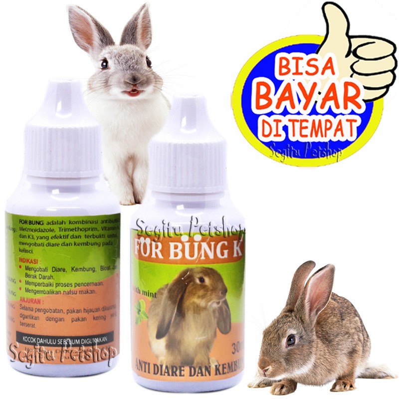 OBAT KELINCI SAKIT DIARE MENCRET KEMBUNG FOR BUNG K