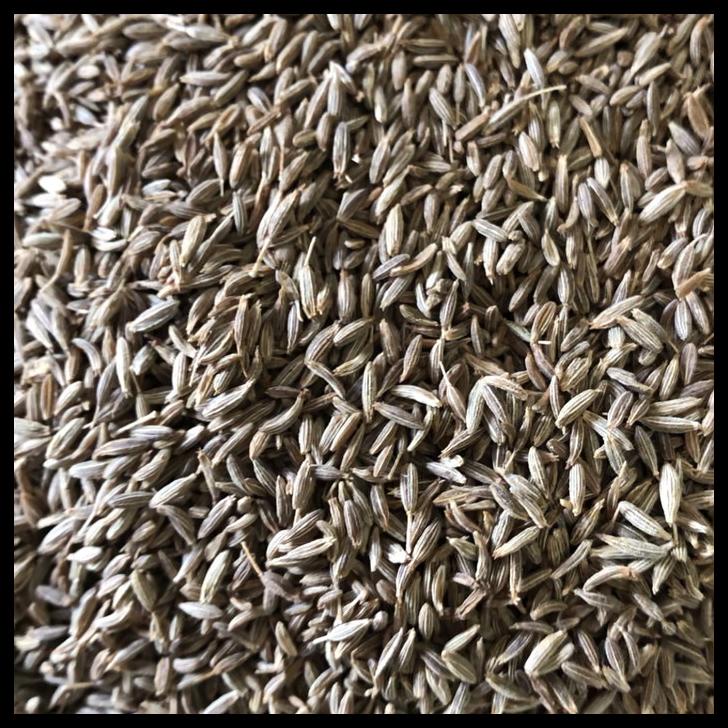 

TERBARUU!! Jintan India / Cumin Seed 1 Kg TERBARU