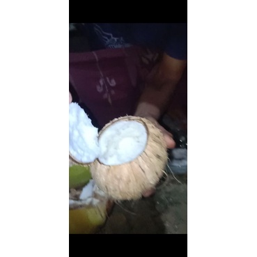 

kelapa KOPYOR SUPER