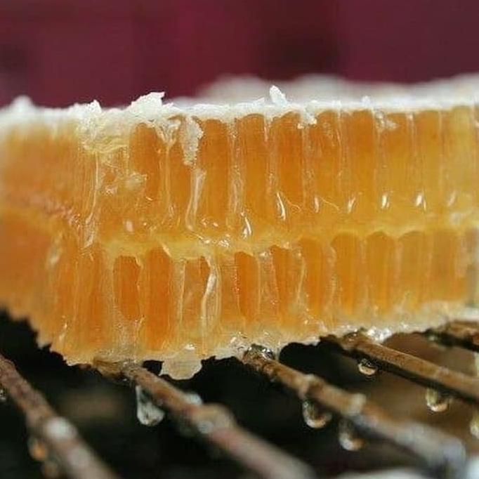 

PROMO MADU SARANG SUPER RAW