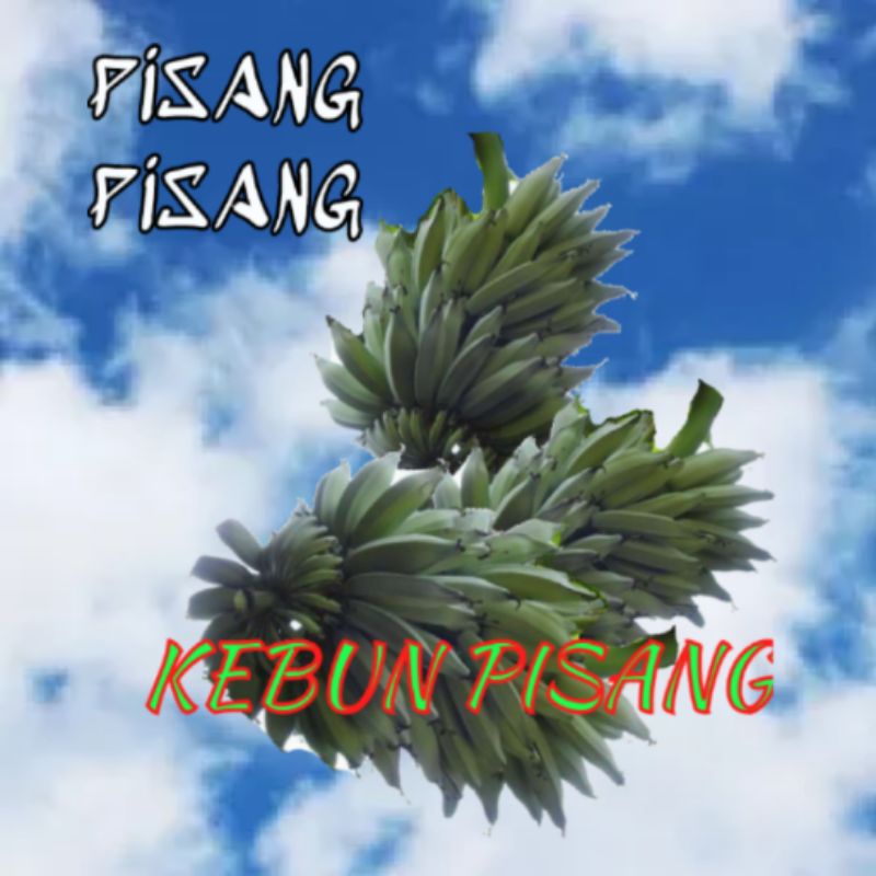 

Pisang Ambon,Kepok,Nangka,Ampyang,siem