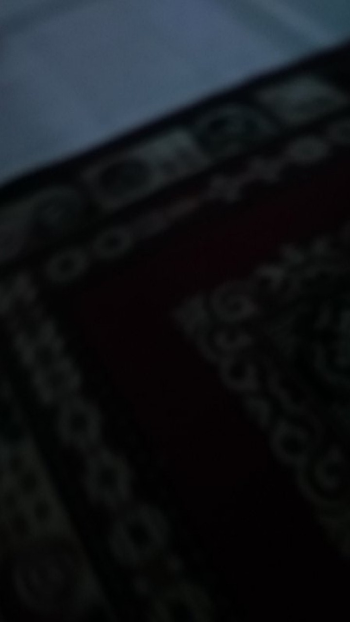 Pisau Buah / Pisau Sayur / Pisau Roti 1 Set Isi 12 Pcs