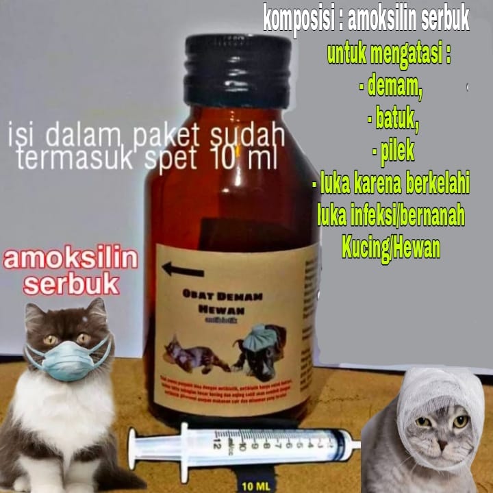 obat flu demam hewan kucing anjing