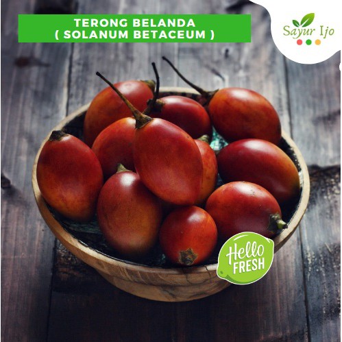 

Terong Belanda 480 - 500 Gram Fresh Terung Belanda Buah Lokal Segar