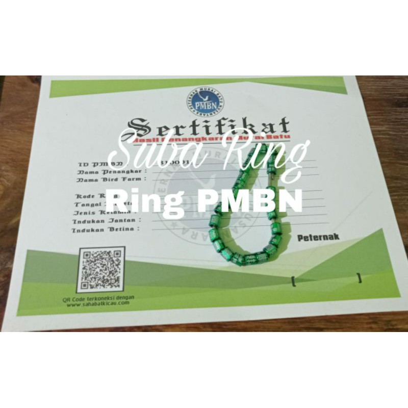 Ring Burung PMBN murai batu