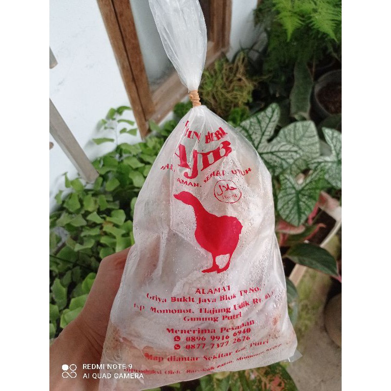 

karkas daging bebek ukuran 1.4kg