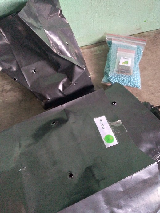 Polybag 50x50 Cm Tebal / Kantong Semai Benih 50x50 Cm