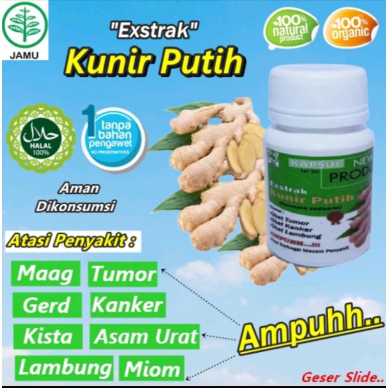 Jual Kapsul Kunyit Putih Shopee Indonesia 6561