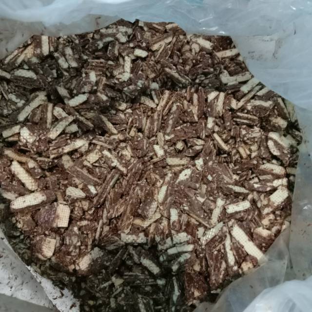 Wafer selamat