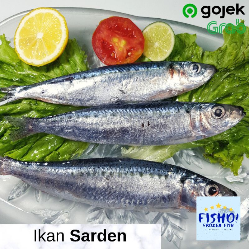 

Ikan Sarden Segar Frozen Premium Quality 1 KG