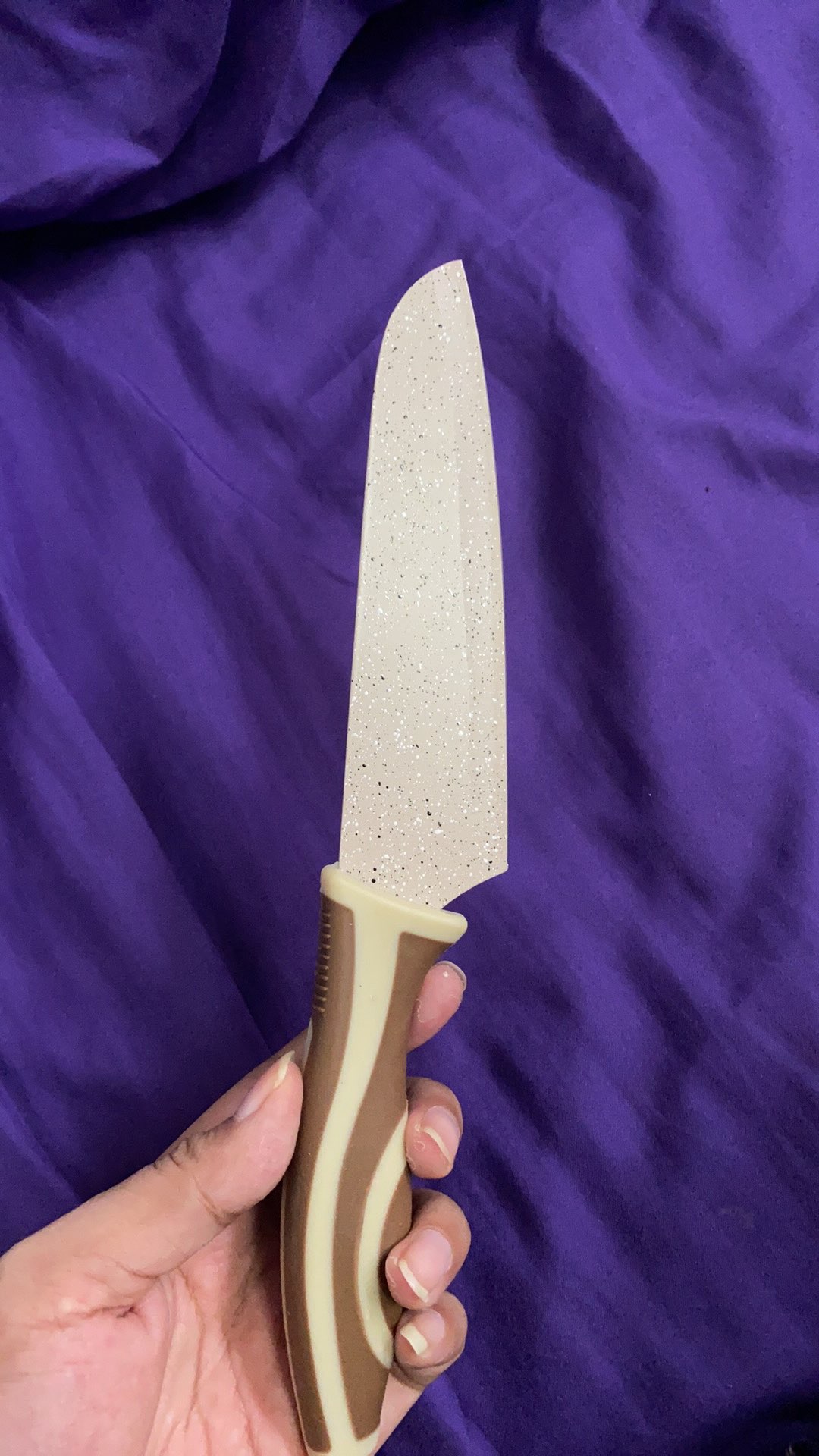 Bolde Electra Series Meat Cleaver Pisau Besar 24.6cm Piso Dapur Peso Pemotong
