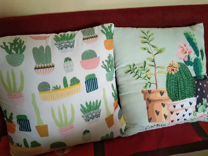 Bantal Sofa Cactus Plant / Tanaman Kaktus 40x40 Cm - Pusat Kado Murah