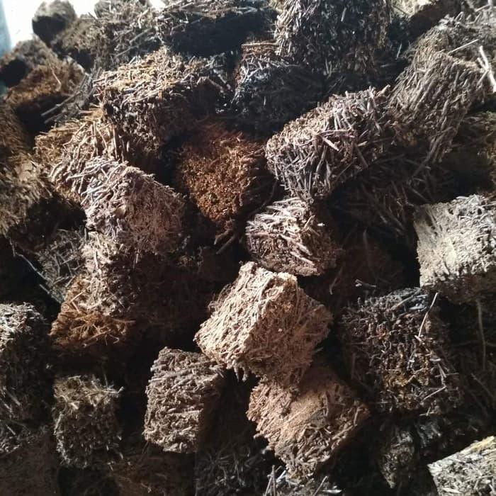 Media pakis anggrek pakis chip Media tanaman anggrek