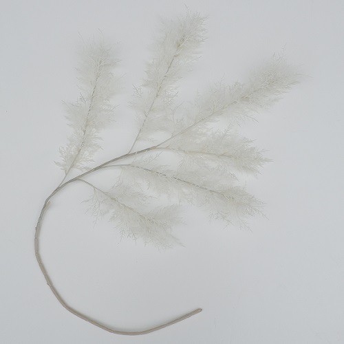 WANFLOWER Bunga Fox Tail Cemara X6 * PUTIH
