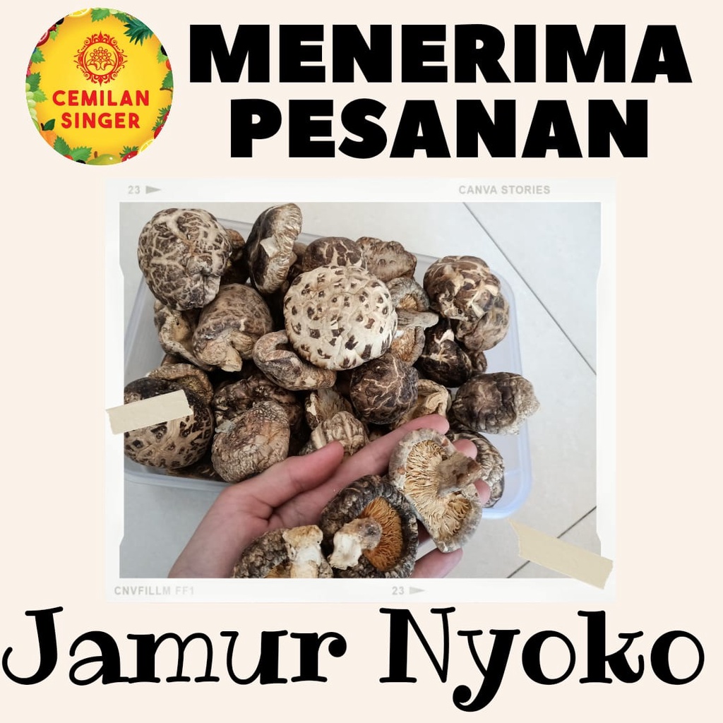 

Jamur Nyoko/Hioko/Shitake 100gram