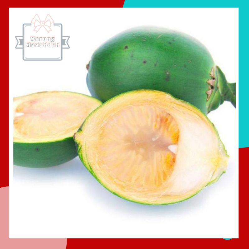 

PINANG MUDA / JAMBE MUDA