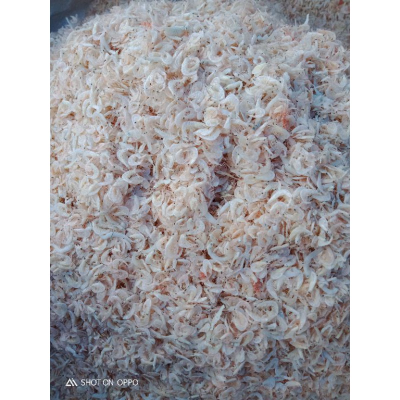Teri ebi campur