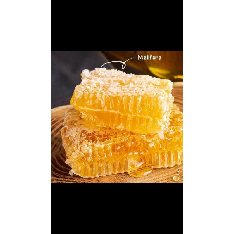 

Madu Sarang Melifera Murni kemasan 250 gr