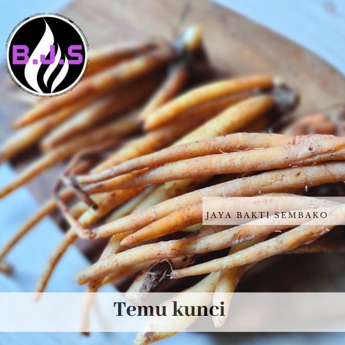 

TERBARU TEMU KUNCI 500 GRAM SEGAR SALE