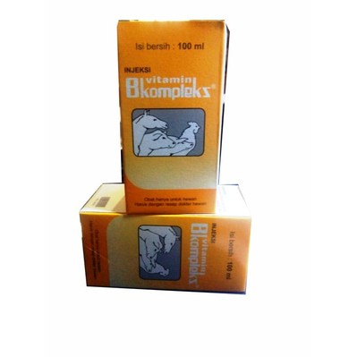 VITAMIN B KOMPLEK INJEKSI 100 ML