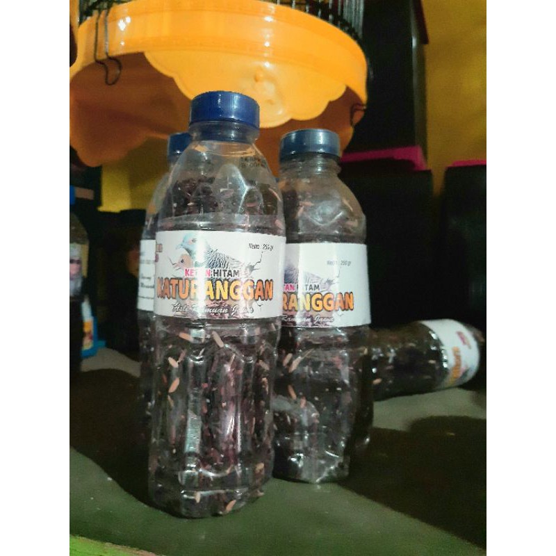 Makanan / pakan perkutut Ketan hitam perkutut katuranggan